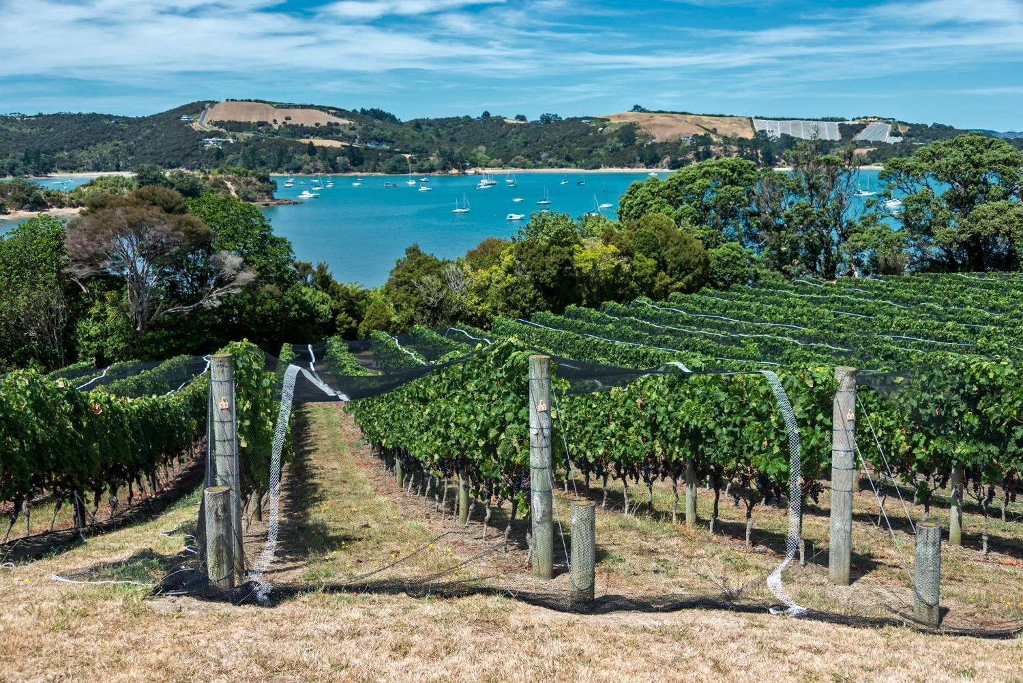 ホテル Intercontinental Auckland By Ihg エクステリア 写真